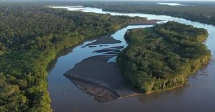 Perú: 6 especies de flora y fauna fueron halladas en la Amazonía 