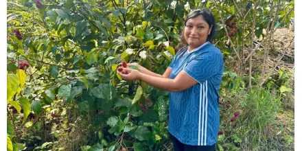 MDH impulsa emprendimientos y fortalece atención social en Pastaza