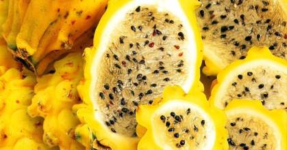 Frutas no tradicionales ecuatorianas se abren paso en la alta cocina europea 