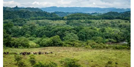 Sectores de la Amazonía colombiana piden espacio en el debate presidencial