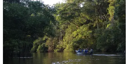 Sucumbíos concentra indicios de tierras raras en el norte de la Amazonía ecuatoriana