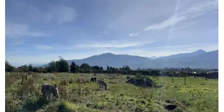 Inamhi advierte sobre riesgo de incendios