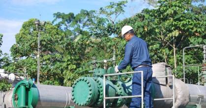 14 petroleras privadas operan en Ecuador en 2025 