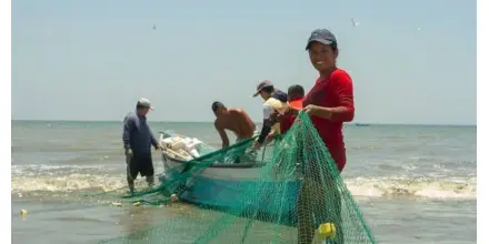 Ecuador liderará proyecto internacional para pesca sostenible de especies marinas estratégicas