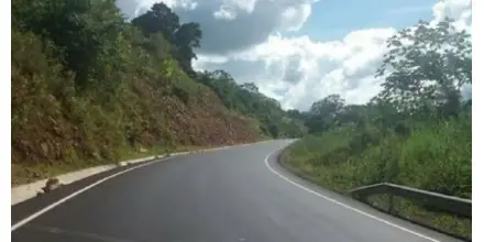 Perú: Construcción de carretera en la Amazonía encendió debate 