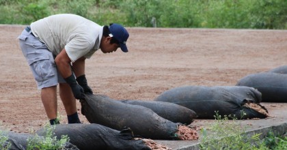 Arranca en Ecuador proyecto de matriz exportadora de gigante suizo del cacao