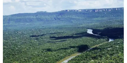 Deforestación pone en riesgo la conectividad ecológica de parque clave en Colombia