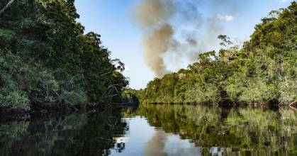 Colombia: Corte Constitucional suspendió licencias en Orinoquía y la Amazonía 