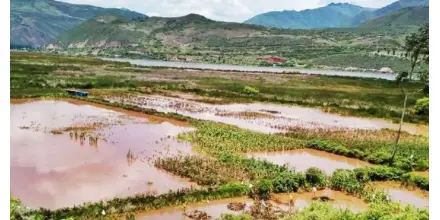 Lluvias intensas en Ecuador dejan pérdidas millonarias en el sector agrícola 