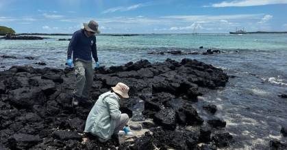 Estudio alerta de la contaminación en fuentes de agua de 3 islas de Galápagos