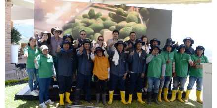 El aguacate ecuatoriano llegará por primera vez a Estados Unidos
