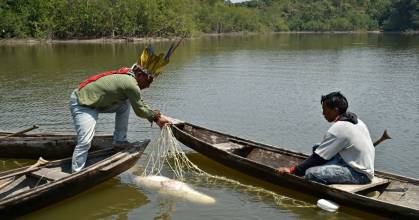 FAO y OTCA lanzaron programa de bioeconomía amazónica