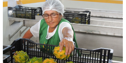 Productos amazónicos tienen potencial de crecimiento por el acuerdo comercial con China