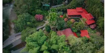 Descubre los principales alojamientos en Puyo según Booking