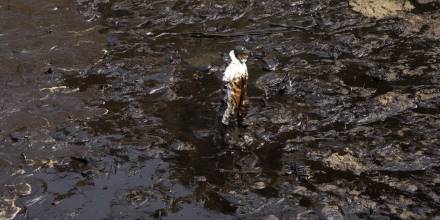 Perú: Tras 4 años del derrame en las costas, pescadores piden “sanar el mar”