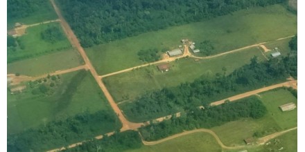 Amazonía de Perú pierde más bosque por expansión de colonias menonitas