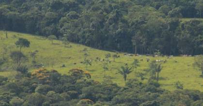 Colombia redujo 15 % la deforestación amazónica