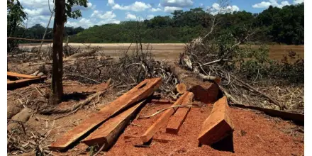 Perú organizó congreso para combatir la deforestación en la Amazonía 
