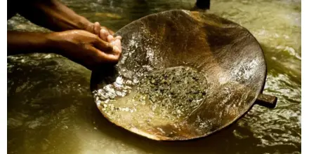 Siete grandes productores de oro en Perú registrados como pequeños en contexto de minería ilegal