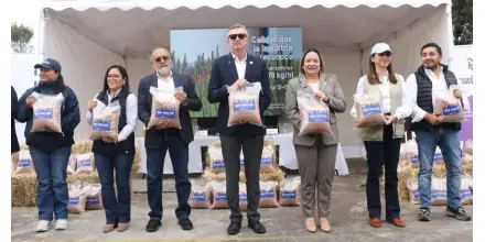 Nueva variedad de trigo promete elevar la producción nacional