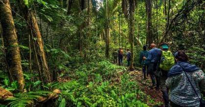 Perú: la Mesa Ejecutiva de la Amazonía se reactivará 