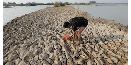 'El Niño' y 'La Niña' alteran el equilibrio de los ecosistemas marinos y la pesca 