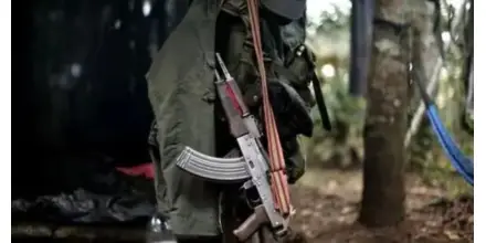 Defensoría alerta que más de 13.000 personas están en riesgo por paro armado en el sur de Colombia