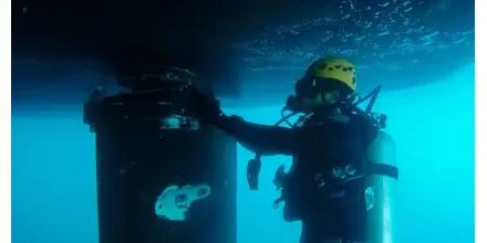 Nuevas reglas buscan proteger a Galápagos del ingreso de especies invasoras