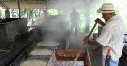 Eficiencia energética en la producción artesanal de panela  