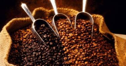 El café ecuatoriano se abre paso en el segmento "gourmet" en España