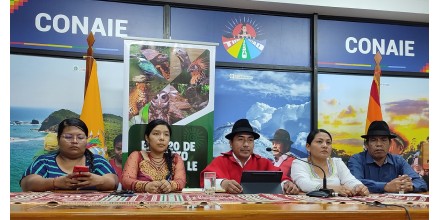 Corte Constitucional suspendió proceso de consultas ambientales sobre minería