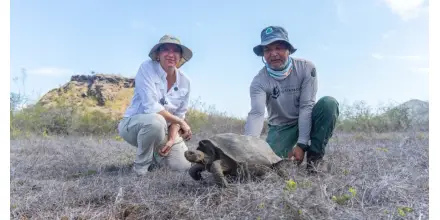 Reintroducen 158 tortugas gigantes en Floreana tras más de un siglo de ausencia