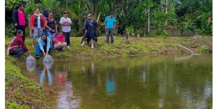 Productores amazónicos reciben alevines para fortalecer la piscicultura en Napo