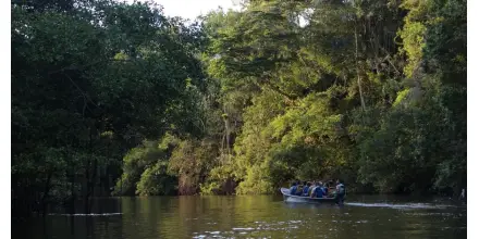 Identifican 118 especies de peces en la Amazonía ecuatoriana y alertan sobre su conservación