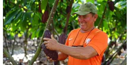 Ecuador impulsa el  cacao regenerativo para fortalecer la bioeconomía