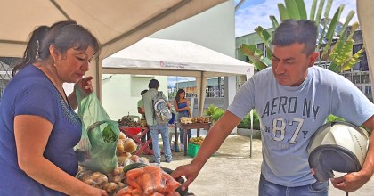 Los Circuitos Alternativos de Comercialización de Napo dejaron $ 152 mil