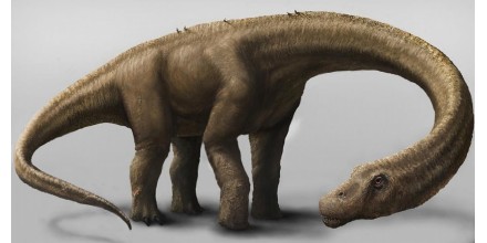 Nuevo fósil de dinosaurio hallado en Napo amplía el registro paleontológico de Ecuador