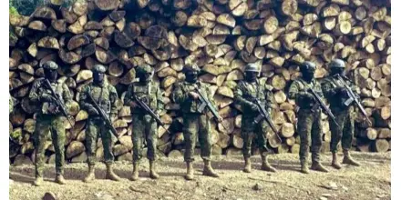 El Ejército incautó madera ilegal en Sucumbíos