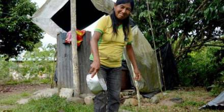 Un proyecto para construir una biblioteca llevará libros a la Amazonía