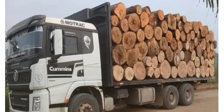 Morona Santiago: Ejército incauta madera sin permisos en Taisha