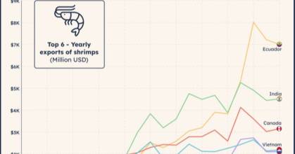 Ecuador es el principal exportador de camarón del mundo