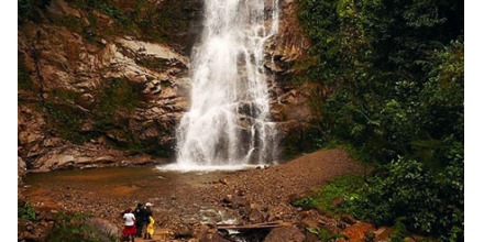 Celebran al Parque Nacional Podocarpus