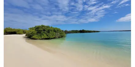 Gobierno amplía descanso por el Día del Trabajo a cuatro días consecutivos