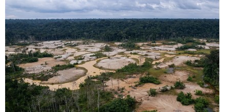 Perú figura entre los países más afectados por la deforestación amazónica en 2025