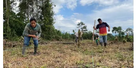 Las chakras amazónicas ganan reconocimiento como modelo agrícola sostenible