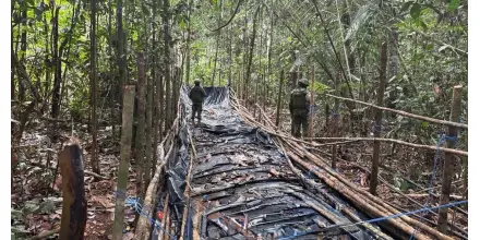 Corredores fronterizos bajo presión rutas del narcotráfico se consolidan en el norte del país