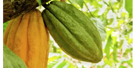 Principales noticias de Ecuador hoy - 21 de abril de 2026