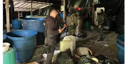 Ecuador desmanteló laboratorio de droga en la frontera con Colombia