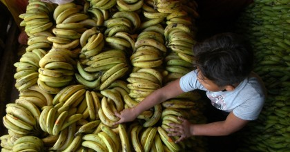 Exportadores monitorean situación comercial con Rusia