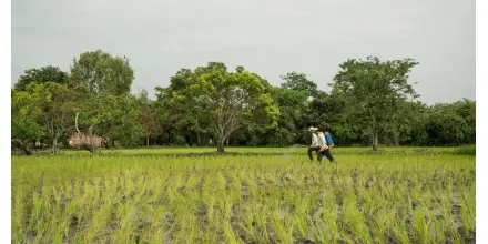 Tensión internacional eleva costos y presiona al agro ecuatoriano